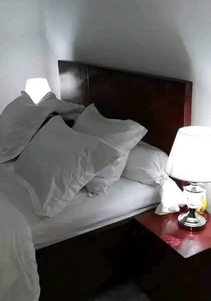 Appartement meuble Yaounde Odza