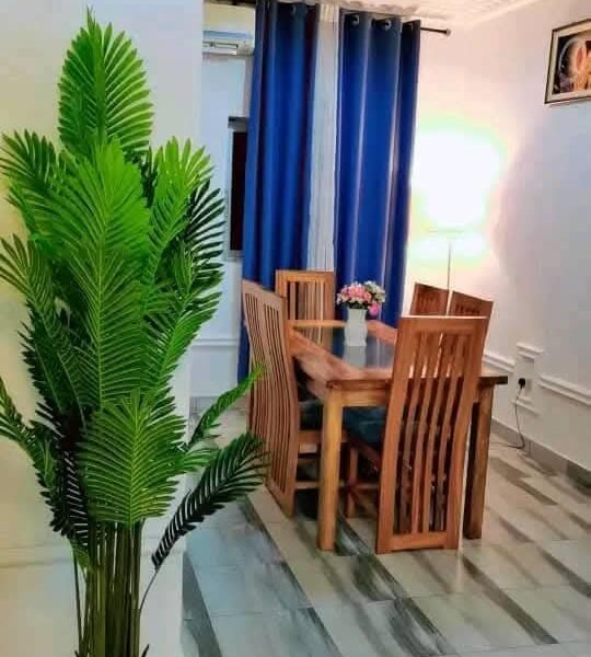 Appartement meuble Yaounde Odza