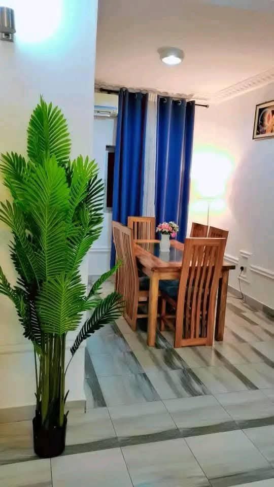 Appartement meuble Yaounde Odza